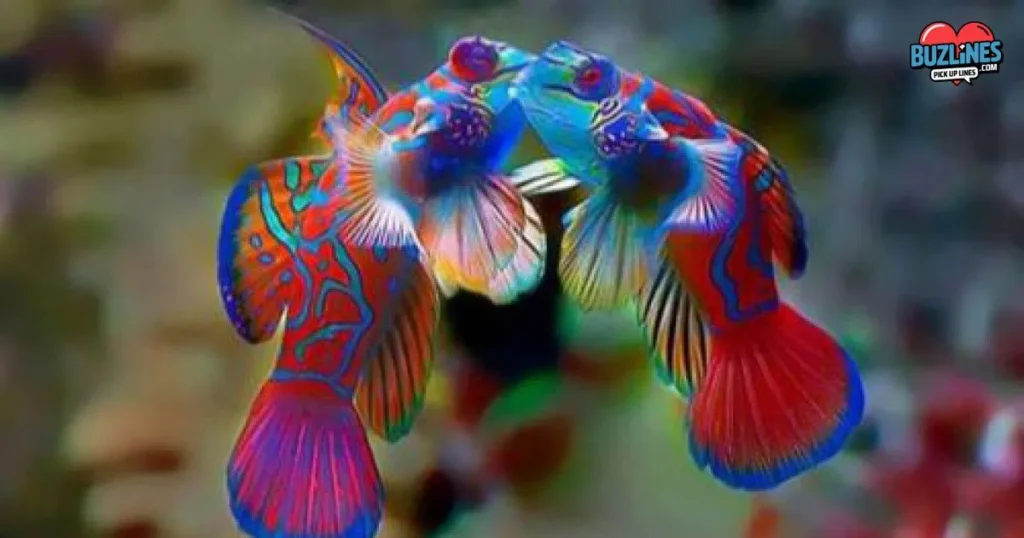 Romantic Fish Pick Up Line