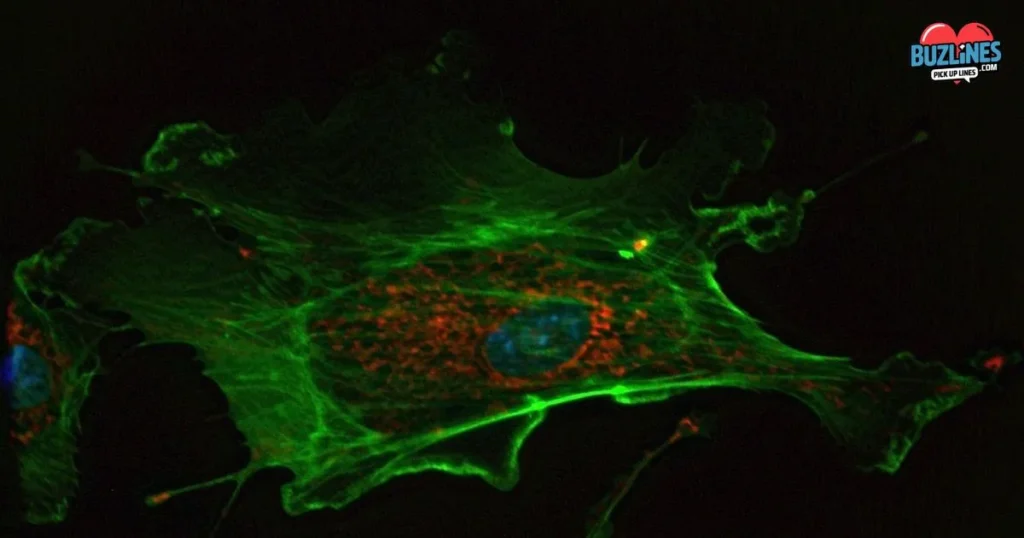 Cytoskeleton Pick Up Lines And Rizz