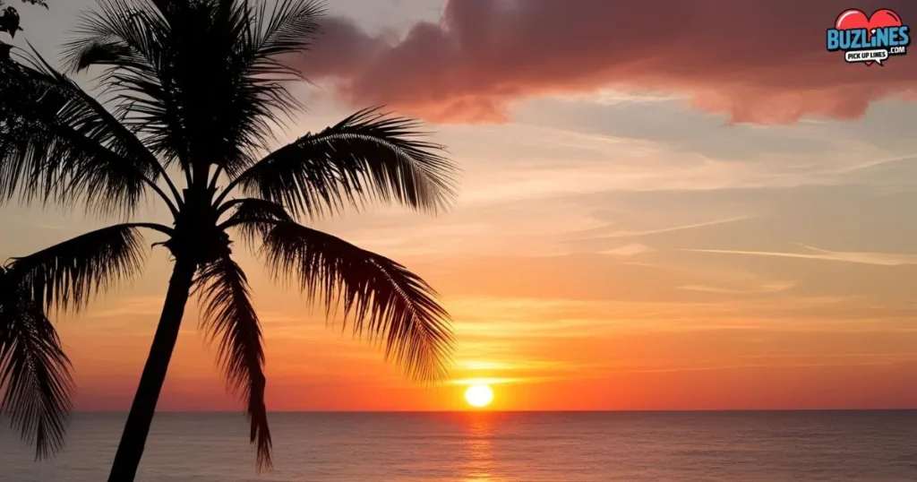 Like A Summer Sunset
