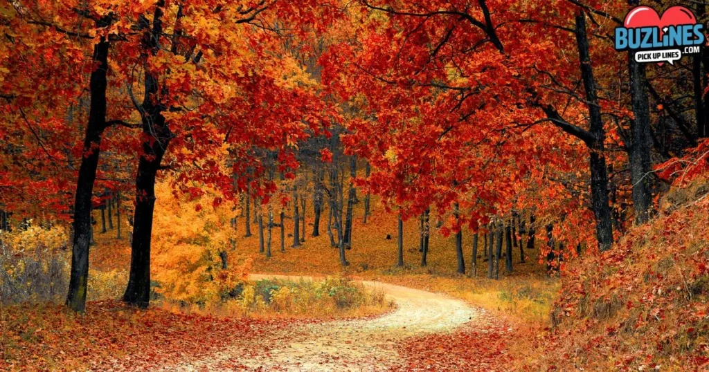Dirty Autumn Pick Up Lines