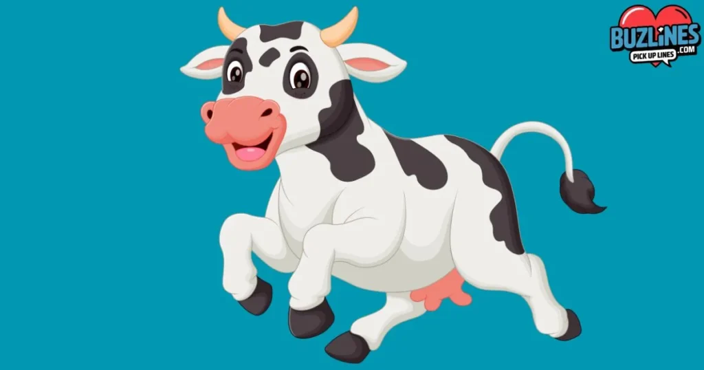 Funny Cow Pick Up Lines