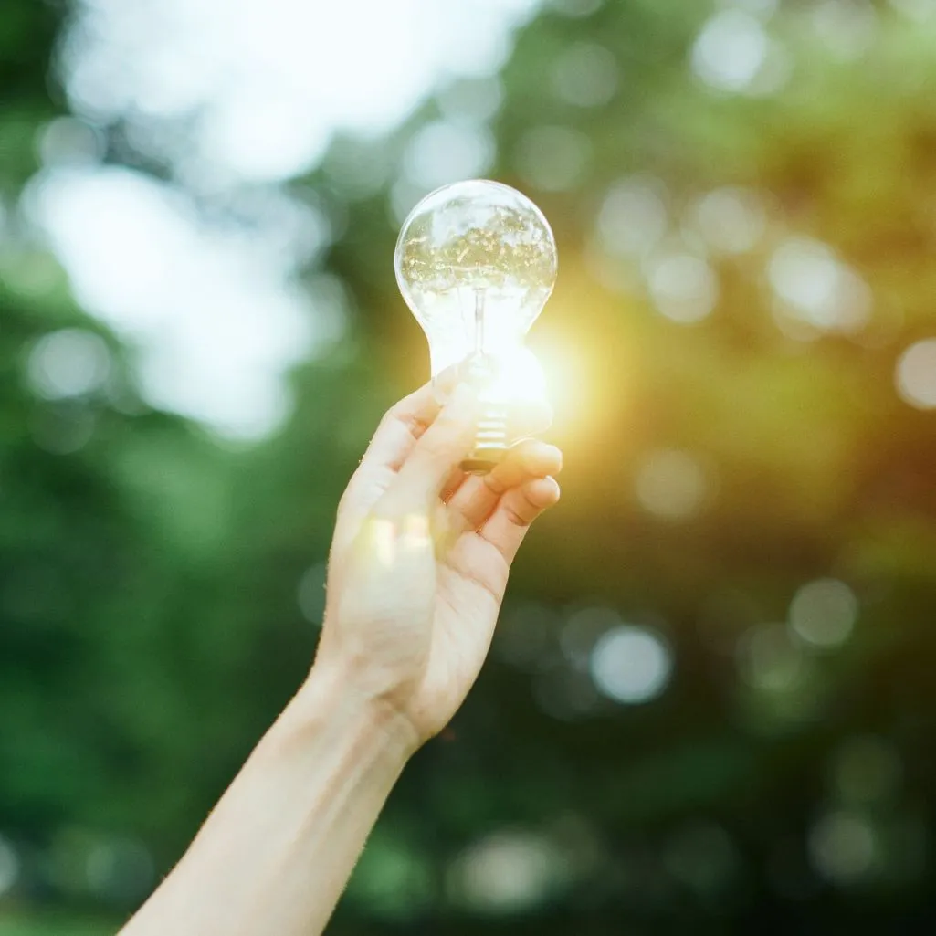 Energy Efficiency And Bulb Choices